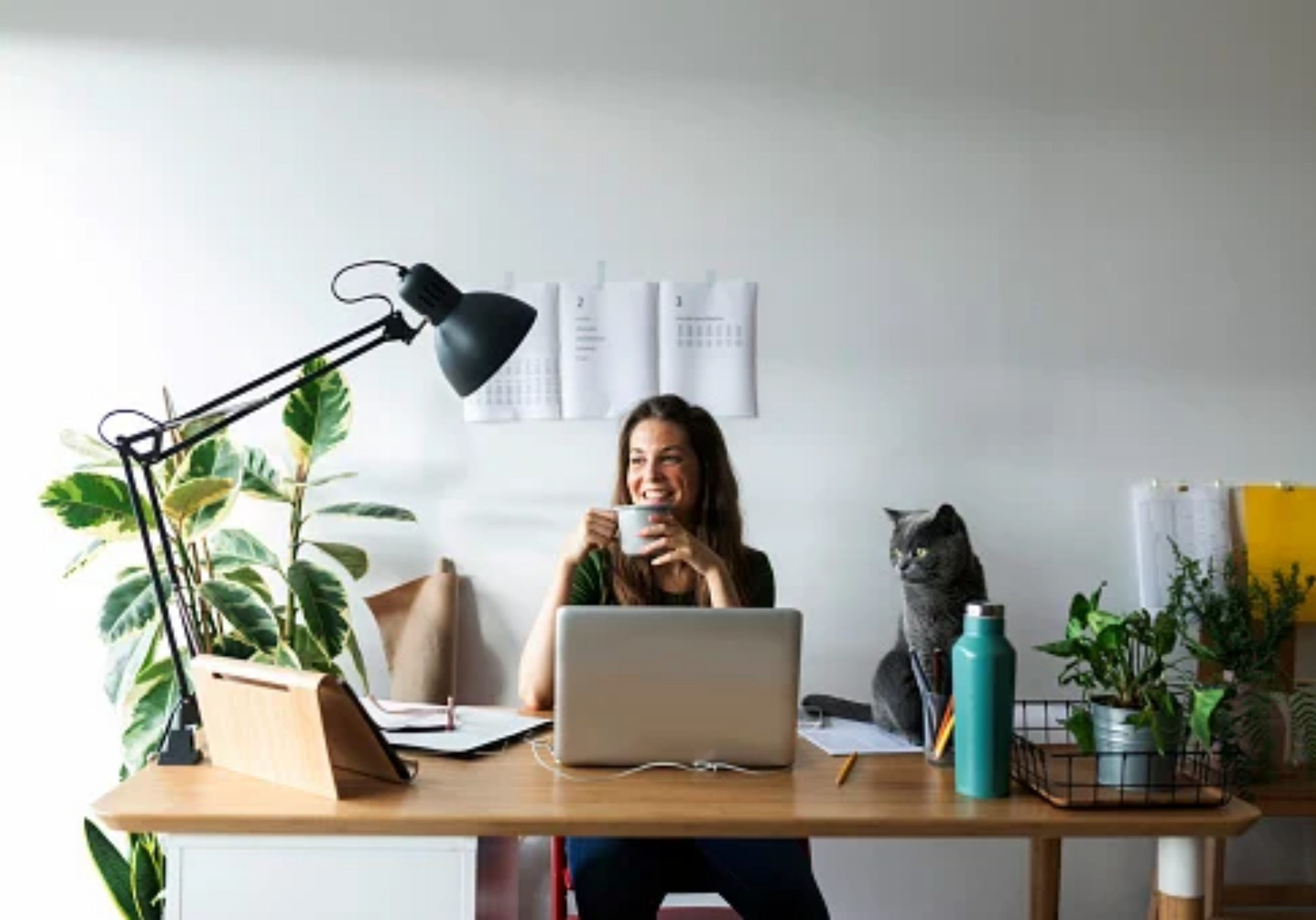 Imagem Post Comunidades Triibo (2560 px × 1789 px) (1)