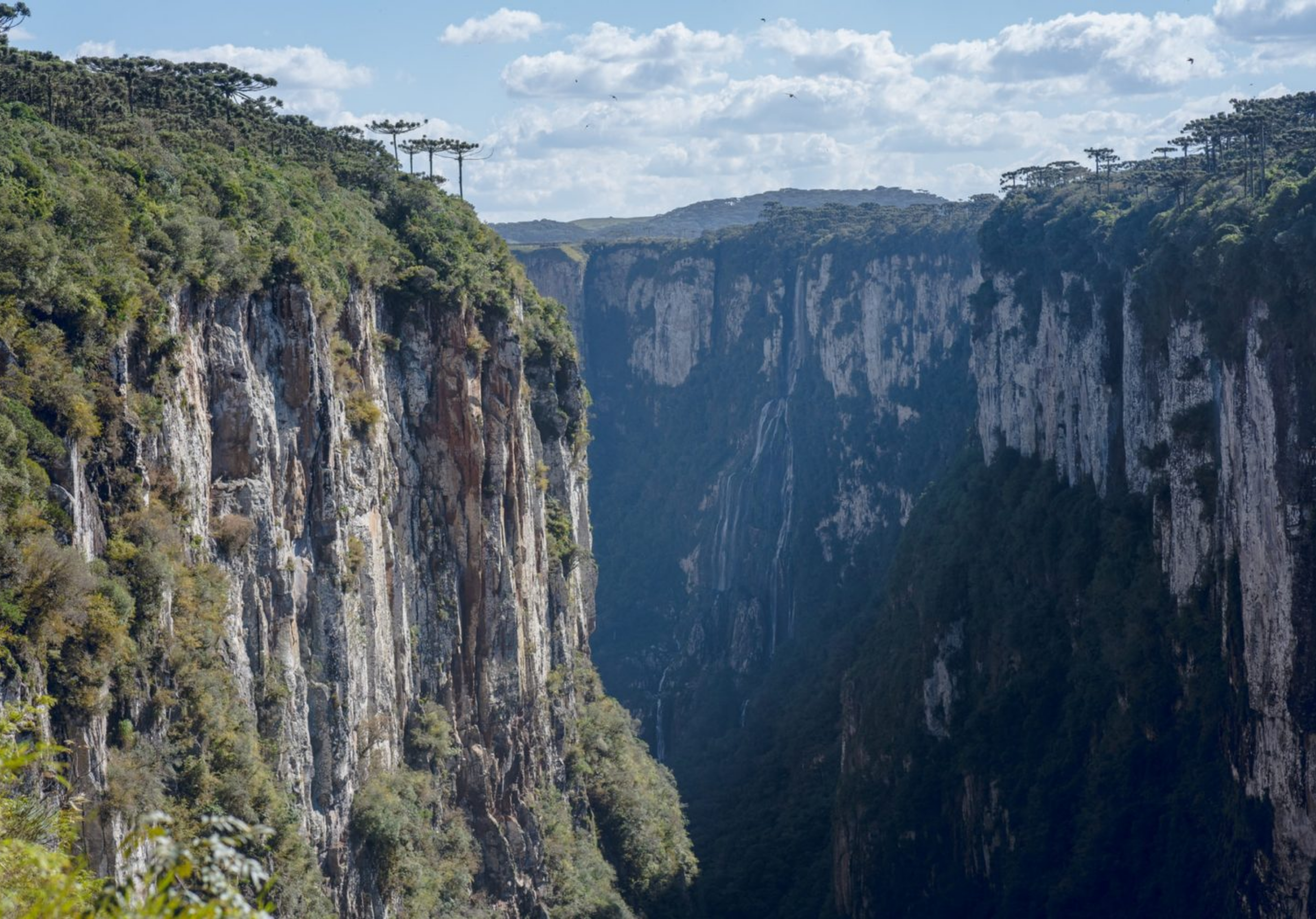 Imagem Post Comunidades Triibo (2560 px × 1789 px)