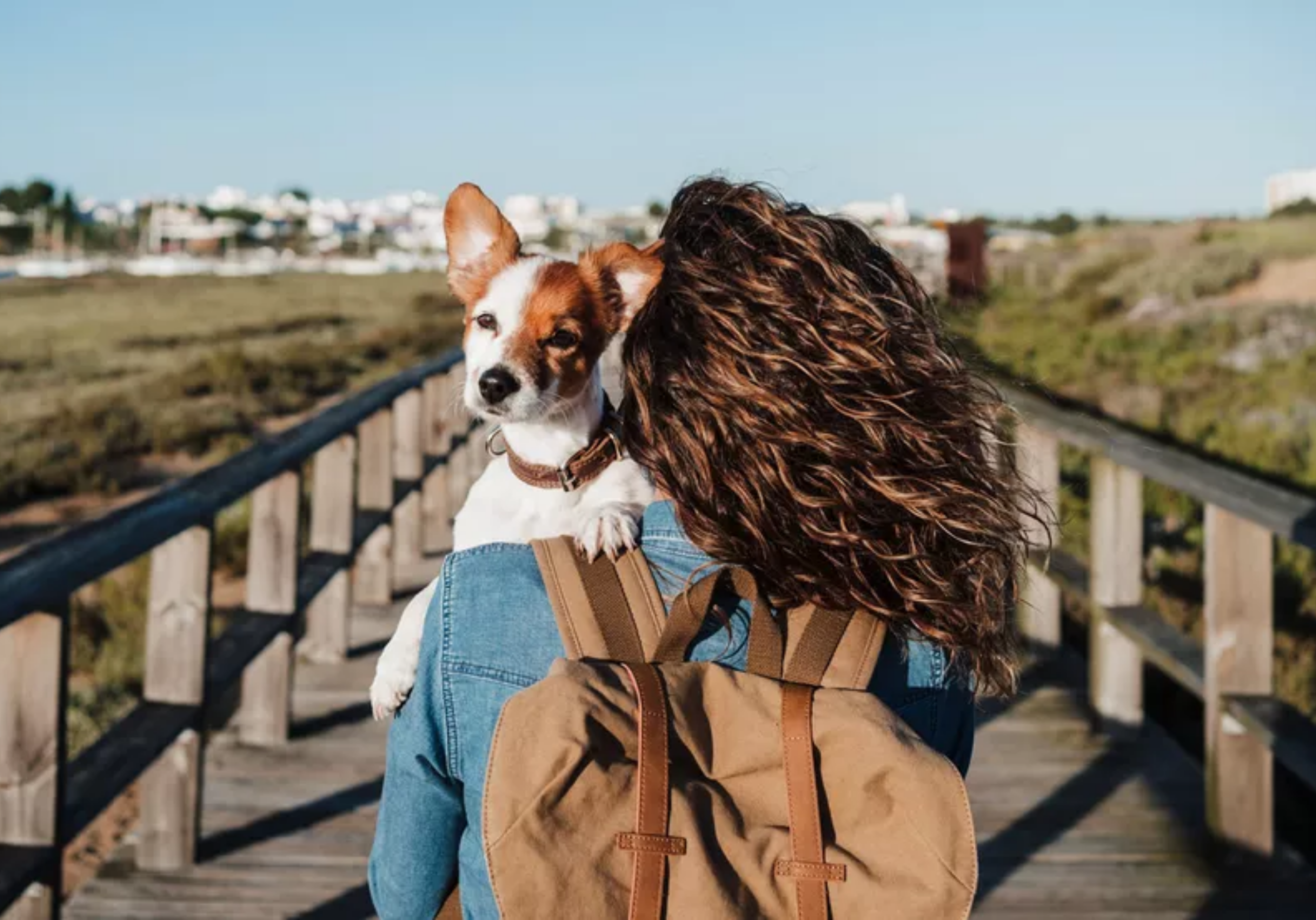 Imagem Post Comunidades Triibo (2560 px × 1789 px)