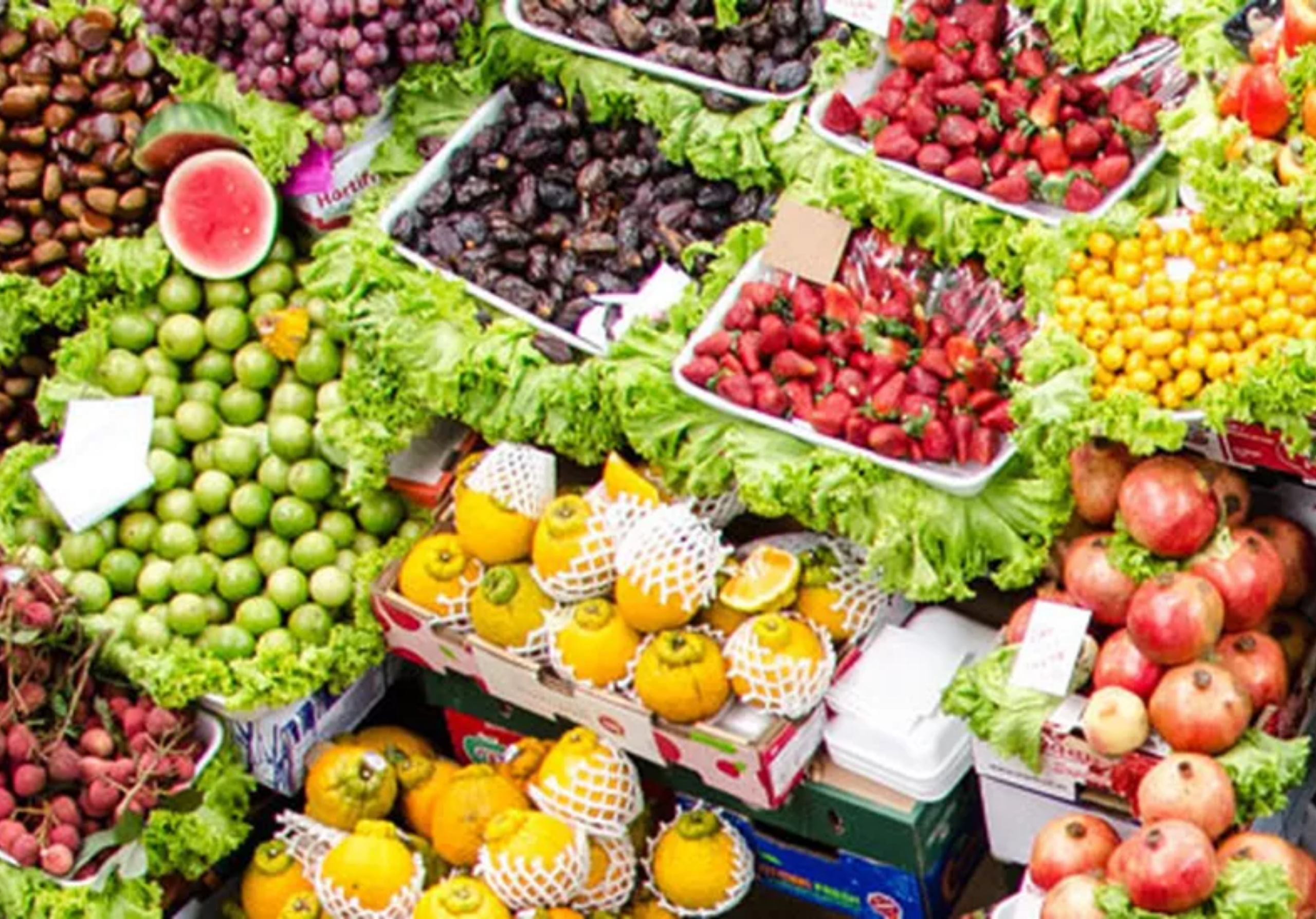 Imagem Post Comunidades Triibo (2560 px × 1789 px)