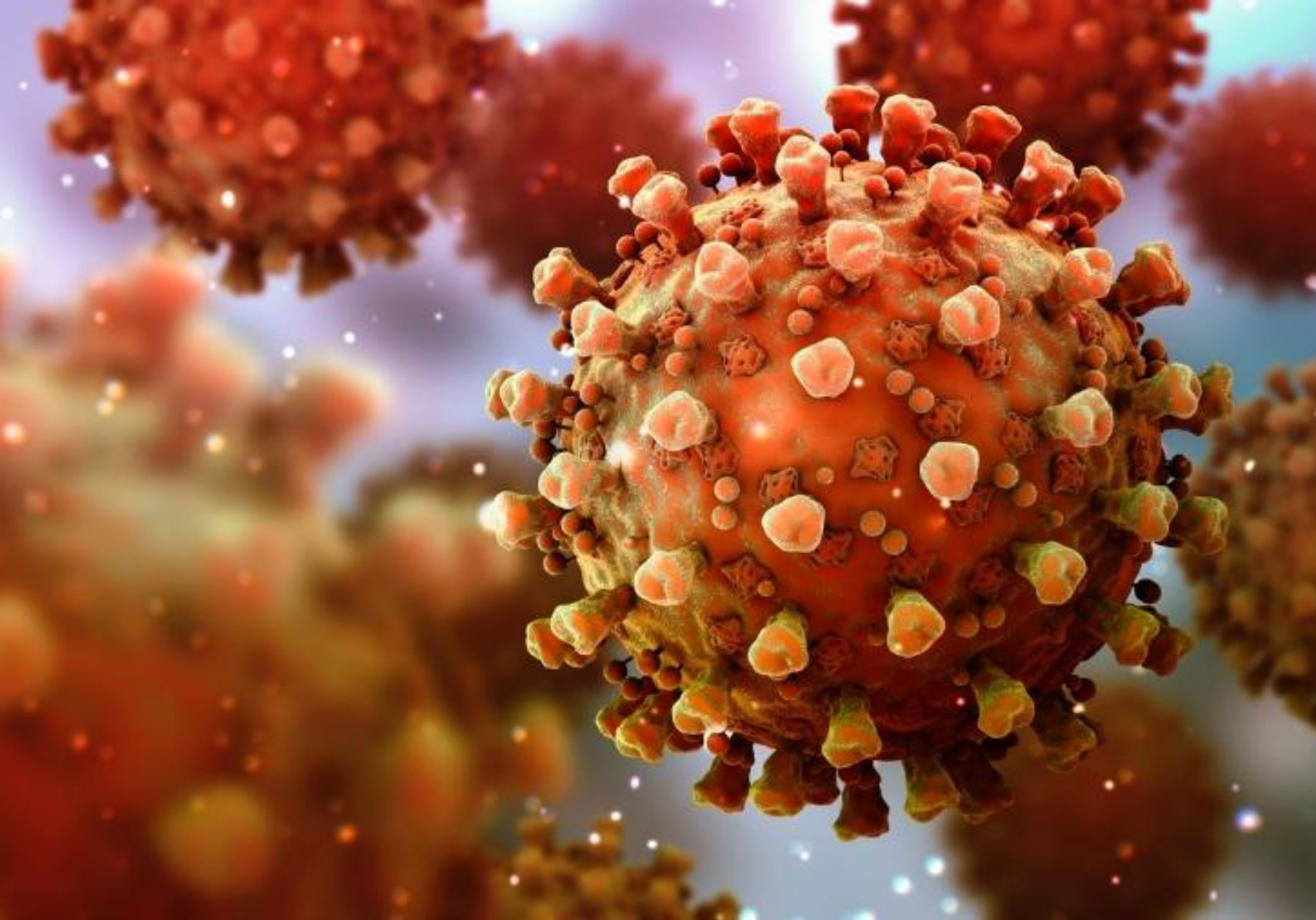 Imagem Post Comunidades Triibo (2560 px × 1789 px)